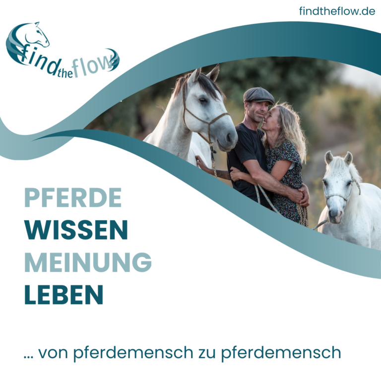 find the flow HOLISTIC HORSE EVENT 2026
